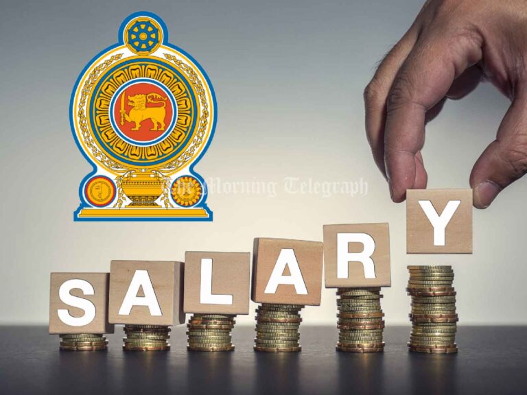 Public Sector Salary Increment Structures for 2025 Announced