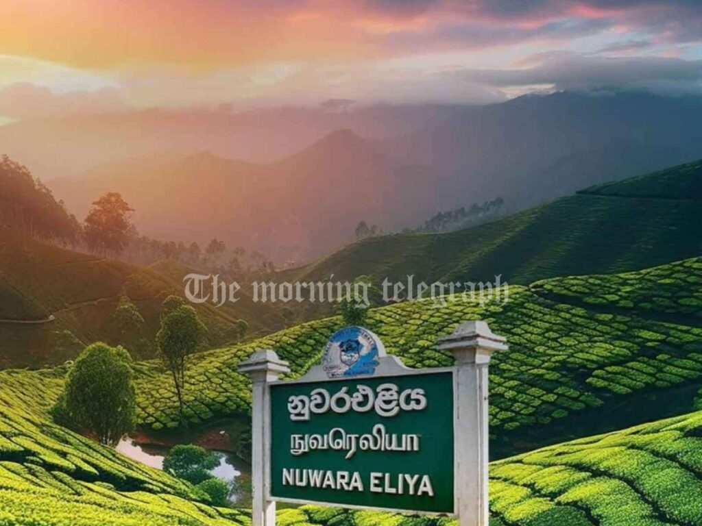 Nuwara Eliya Thriving with Local Tourists Amid Long Weekend