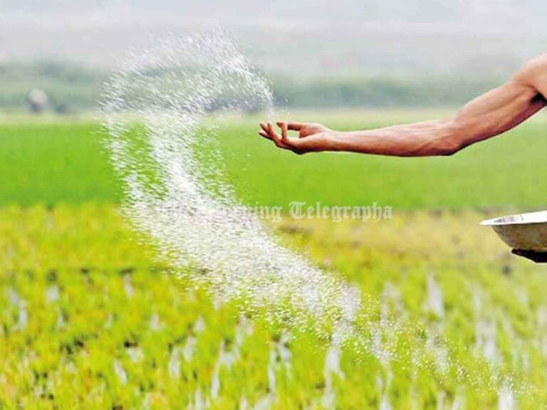 Presidential Decree: Fertilizer Subsidy Gets a Boost