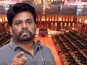 President Anura Kumara to Form Temporary Cabinet