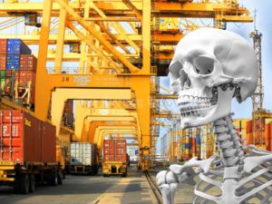 Five Skeletons Discovered at Colombo Port During Excavations