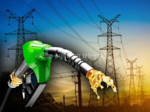 Electricity and Petroleum Supply Declared Essential Services