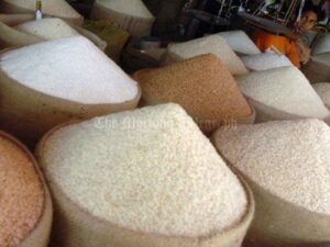 Large-Scale Mill Owners Blamed for Rice Shortage