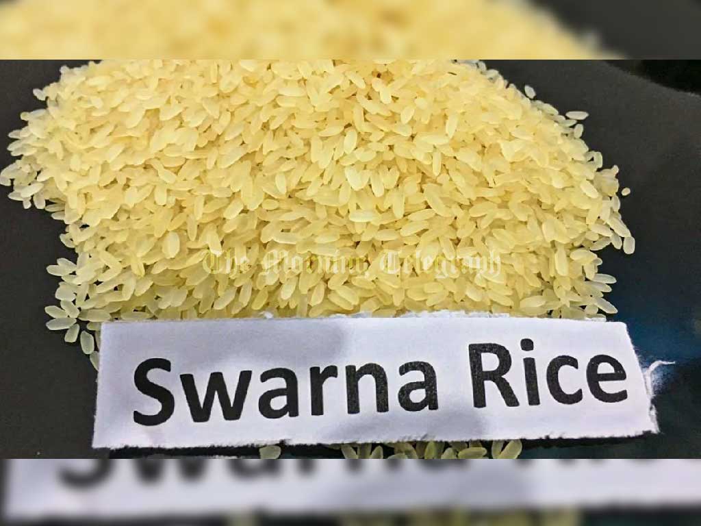 Govt to Import Swarna Nadu Rice from India at Rs. 100 per Kilo Amid Local Shortage