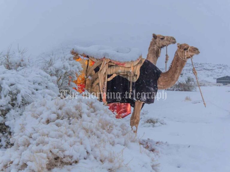 Saudi Desert Sees Historic Snowfall, Transforms into Winter Wonderland - (Video)