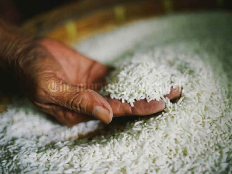 Traders Urge Government to Import Rice Amid Crisis