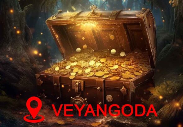 Veyangoda Excavation Uncovers Potential Treasure to Pay Off National Debt