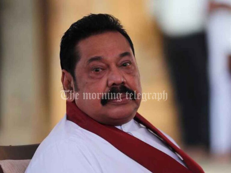 Mahinda Rajapaksa Expresses Frustration Over False Theft Allegations