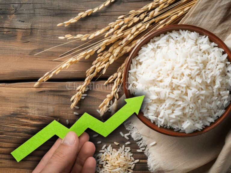 Rice Prices Rise Despite Surplus, HARTI Reveals Underlying Factors