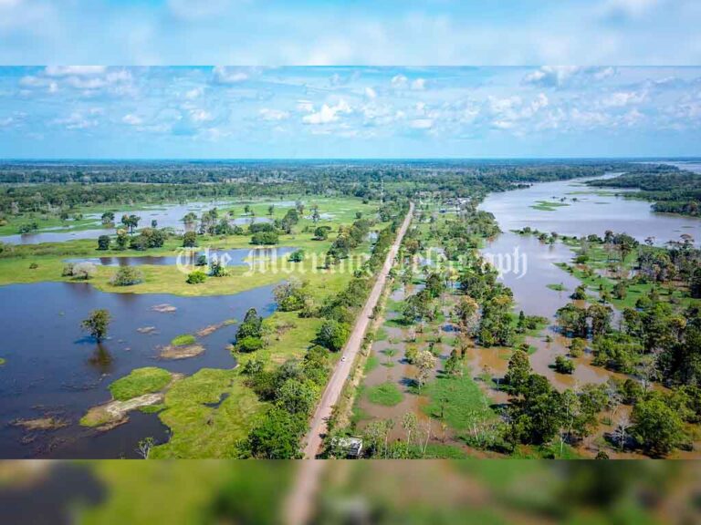 The Amazon’s Divisive 900km Highway