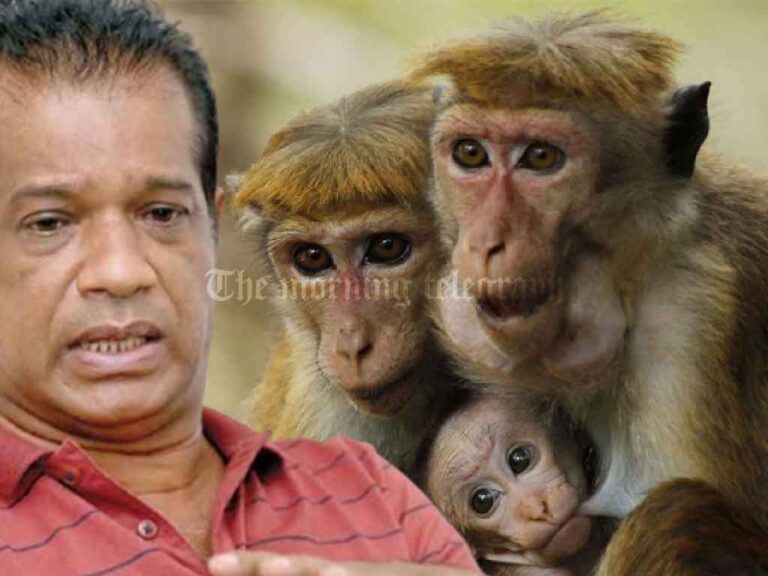 Lal Kantha to Launch Survey on Monkeys Population to Protect Farmlands