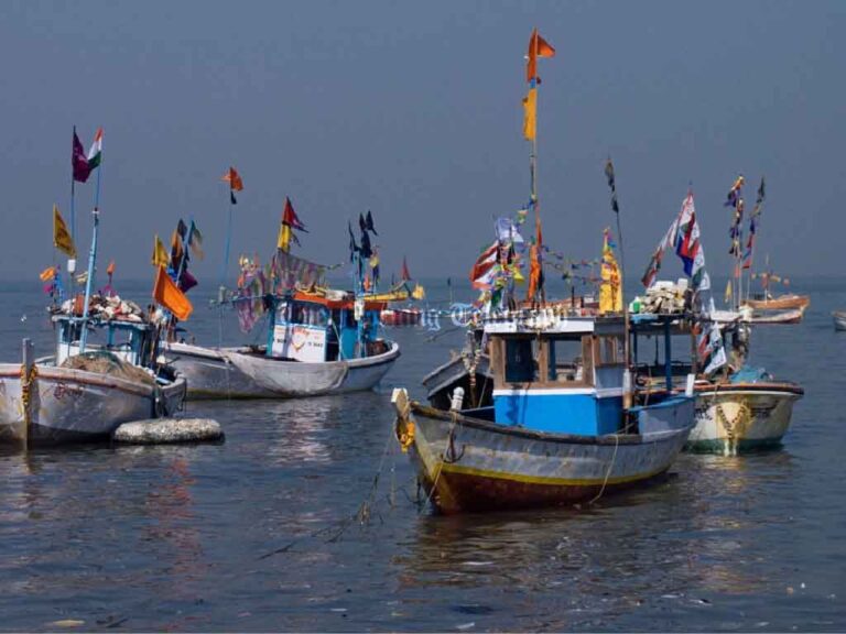 Govt Ends Talks on Indian Fishing Issue in Northern Seas; Conflict Resolved