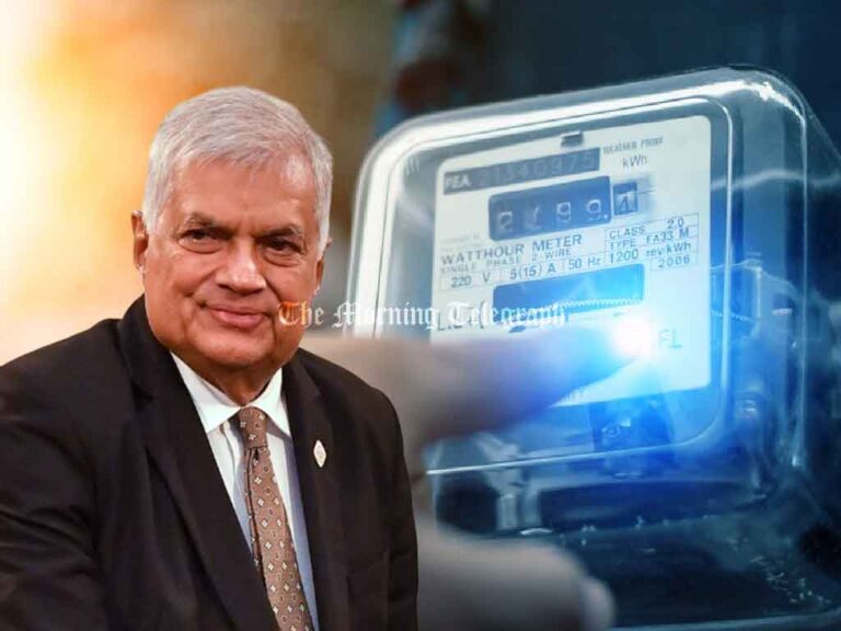 Cabinet Approves Review of Ranil's Electricity Act