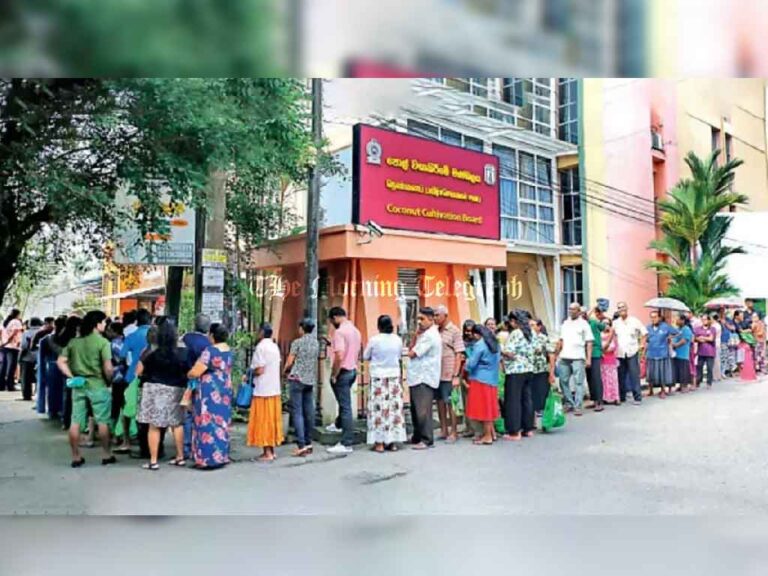 Long Queues at Battaramulla for Affordable Coconuts