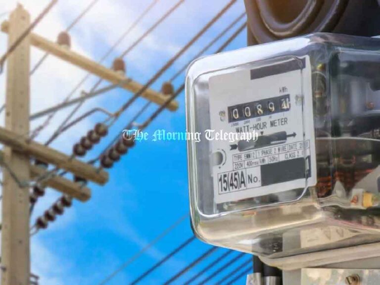 Electricity Relief Ahead: No Tariff Changes for Six Months