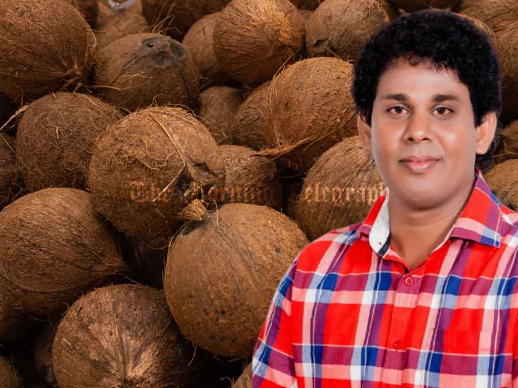 "No Coconut Shortage, But ‘Mafia’ Creating Artificial Scarcity" - Trade Minister