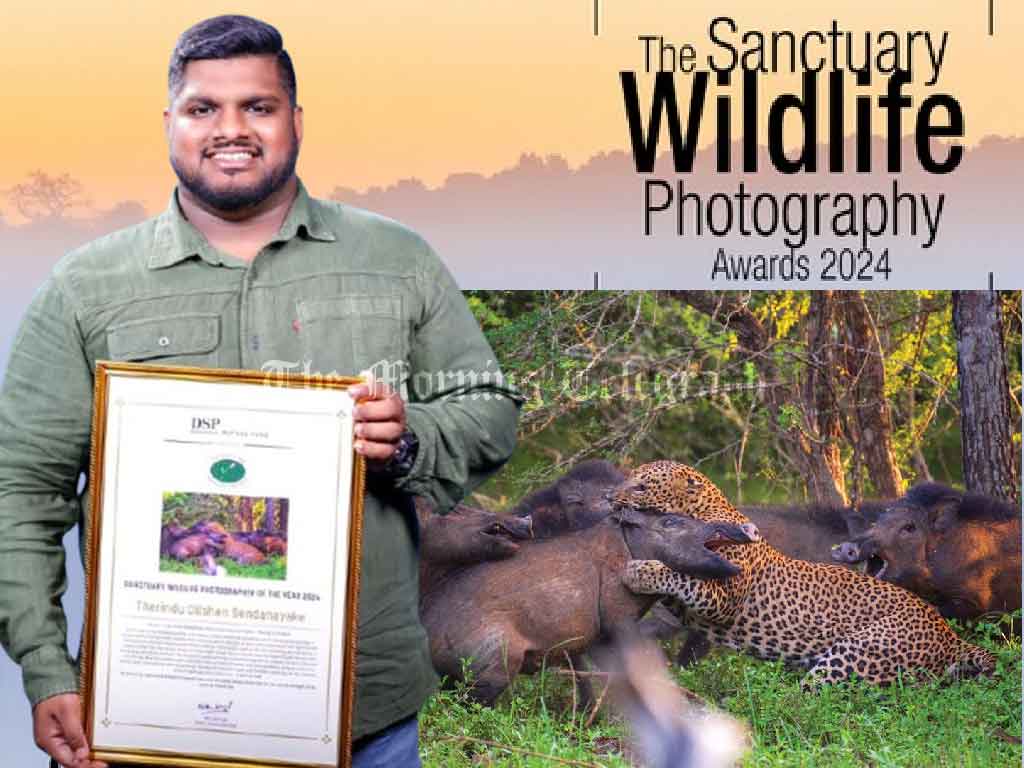 Sri Lankan Photographer Makes History as Sri Lanka's First Winner of Sanctuary Asia's Top Wildlife Award