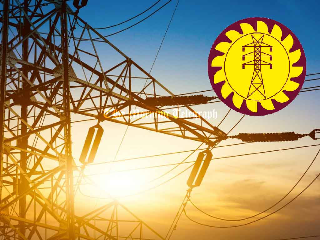 Electricity Demand to Rise Sharply in 2025; Tariffs Unlikely to Be Reduced – CEB