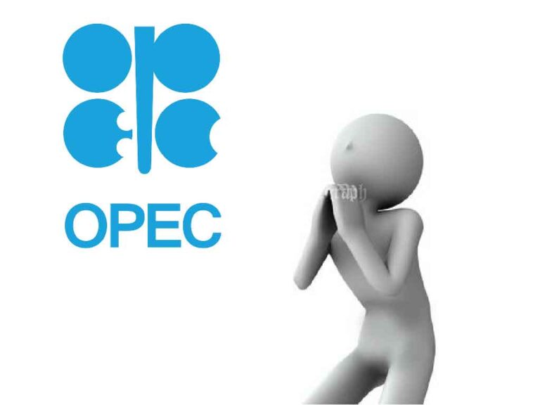 Sri Lanka Seeks $50 Million Loan from OPEC Fund for Reform Agenda