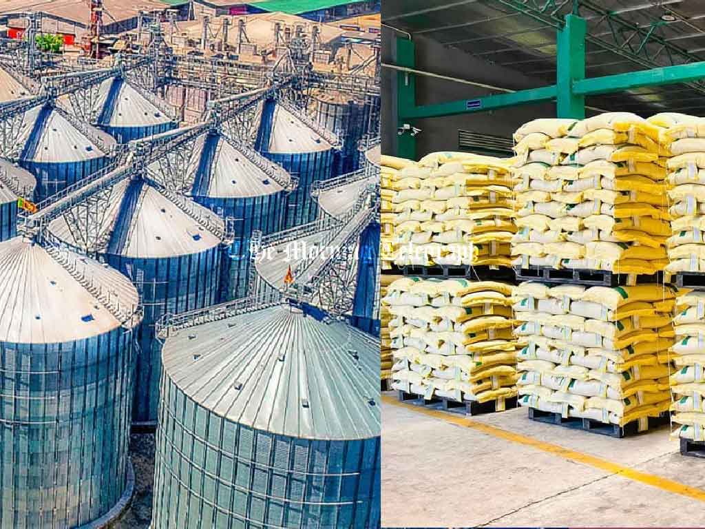 Rice Price Hike Sparks Concern Over Consumer Impact and Market Regulation