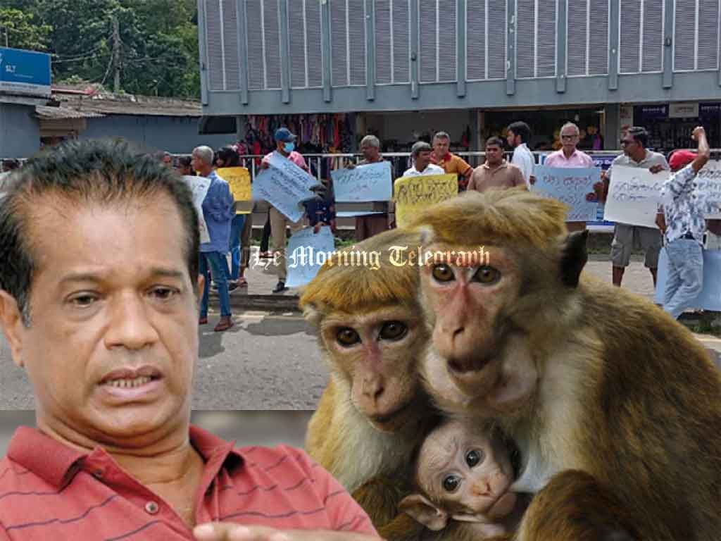 Protests in Kegalle Back Lal Kantha’s Proposal to Cull Crop-Damaging Wildlife