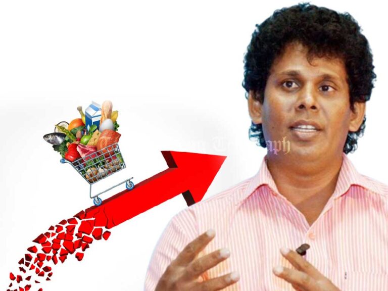 "Price Hikes During Festive Seasons Are Normal" - Minister Wasantha