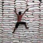 Govt Collects Rs. 4.3 Billion in Taxes from Rice Imports