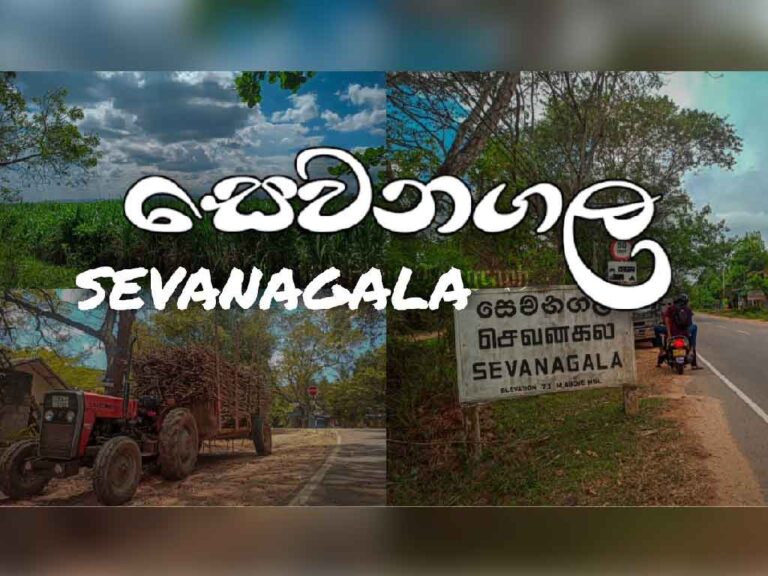 Plans to Transform Sevanagala and Pelwatte Into Thriving Tourist Hubs