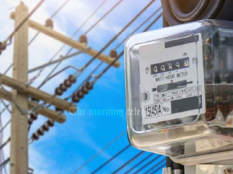 Govt to Review Recent Electricity Tariff Reduction