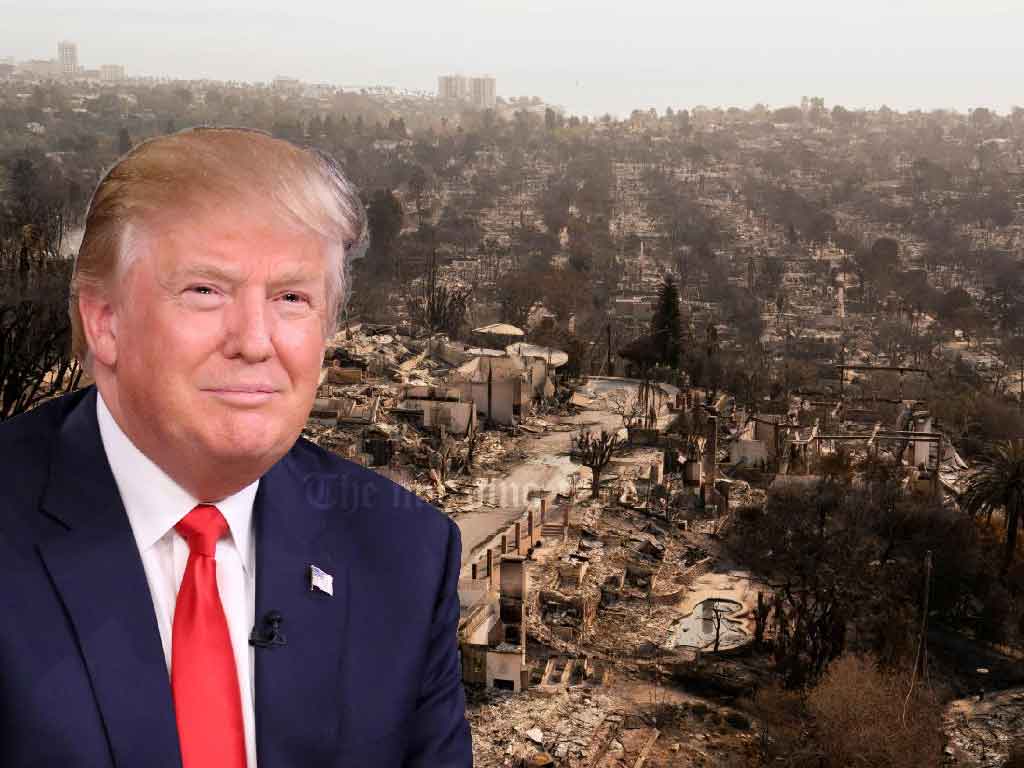 Trump Surveys LA Wildfire Damage