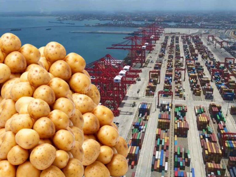 Underworld Rigging Potato Tender at Port: Low Bids, High Profits