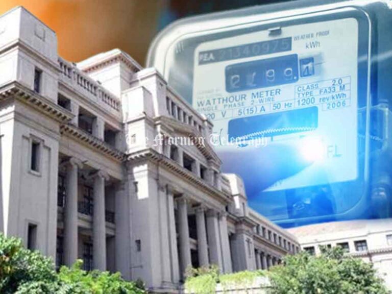 Electricity Bill Reduction Depends on Treasury Approval