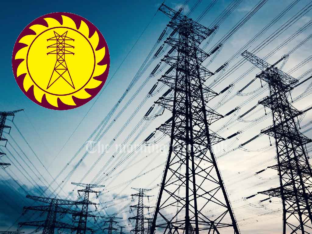 CEB Engineers' Association Blames Power Outage on Grid Instability, Not Monkeys