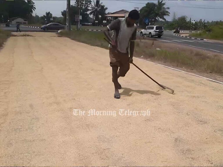 Grama Niladhari Blocks Main Road with Paddy Sacks