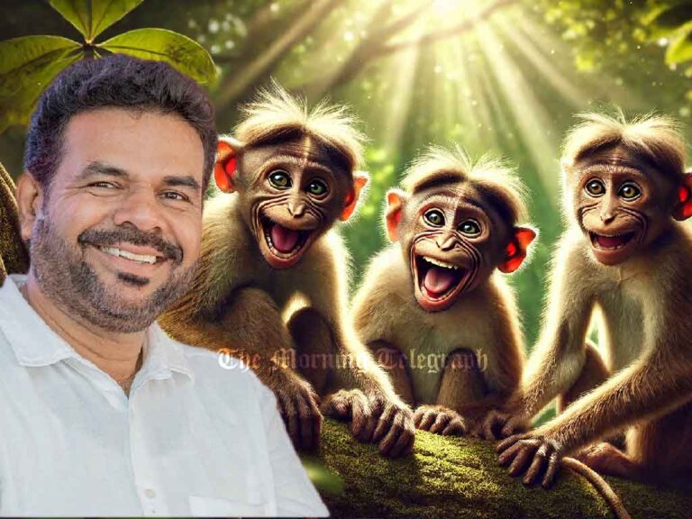 'Three Monkeys were on My Land;The Census Is Successful" – Minister Namal