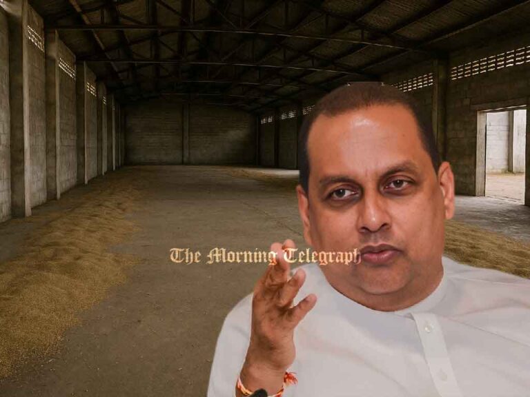 "Only Six Lorries of Paddy Bought? Hand Over the Country to Dudley" - Amaraweera