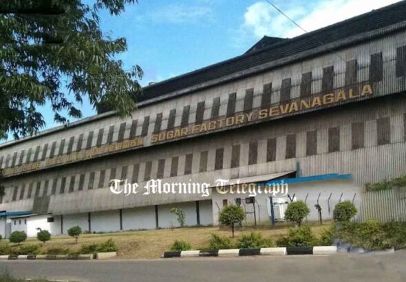 Sevanagala Sugar Factory Faces Closure Risk