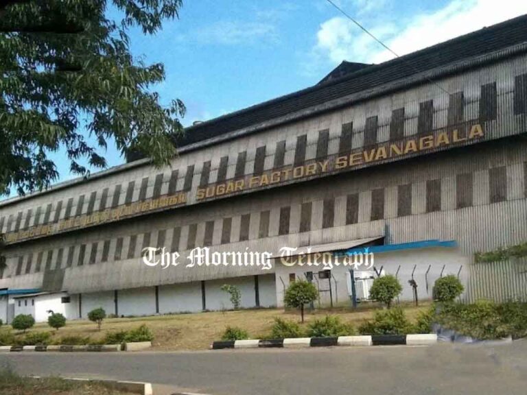 Sevanagala Sugar Factory Faces Closure Risk