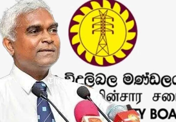 CEB Chairman Quits Over Political Meddling