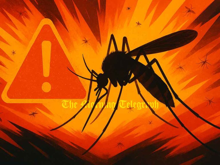 Mosquito Menace Explodes: Chikungunya and Dengue Cases Surge While Local Councils Chase Power