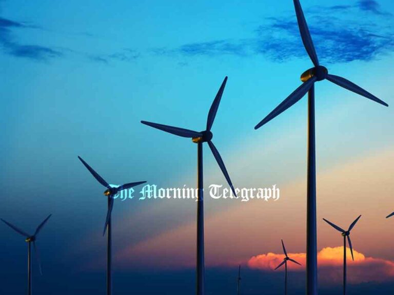 Local Investors Shut Out of Mannar Wind Power Project Amid Controversial Tender Terms