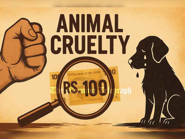 Outrage Grows as Animal Cruelty Still Punishable by Just Rs. 100 Fine