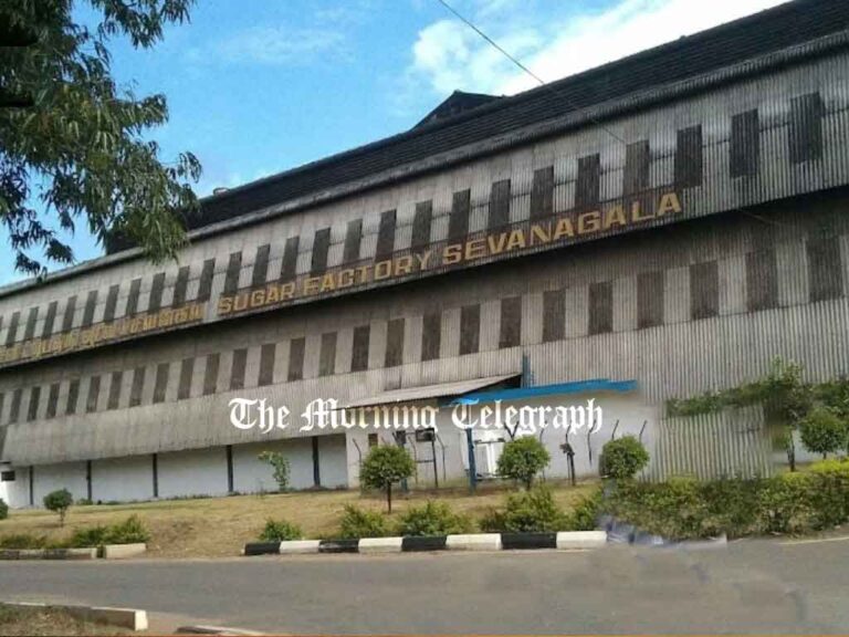 Bitterness Over Sweetness: Sevanagala Farmers Slam Minister