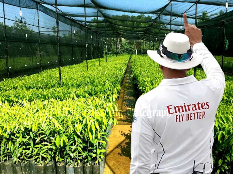 Star Cricketer’s Farming Scheme Taking Millions While Dodging Finance Laws