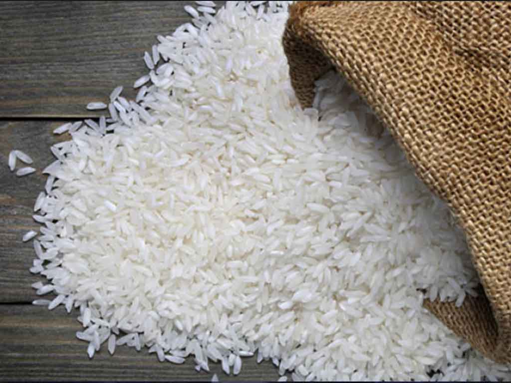 Rice