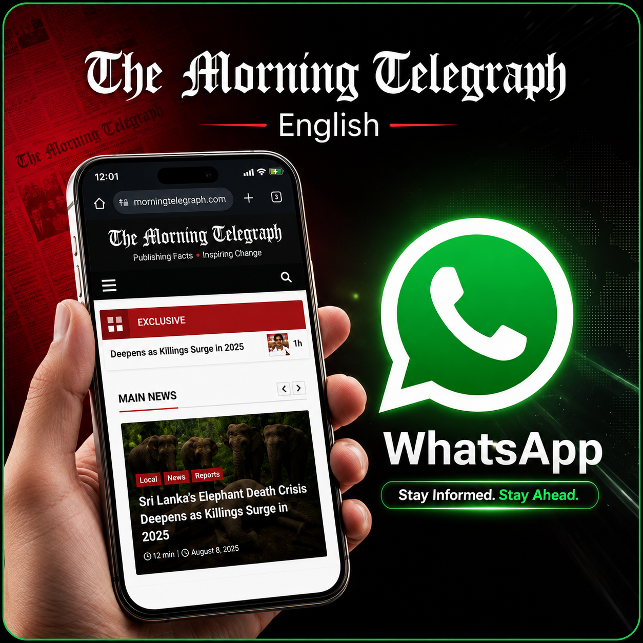 The Morning Telegraph WhatsApp Channel