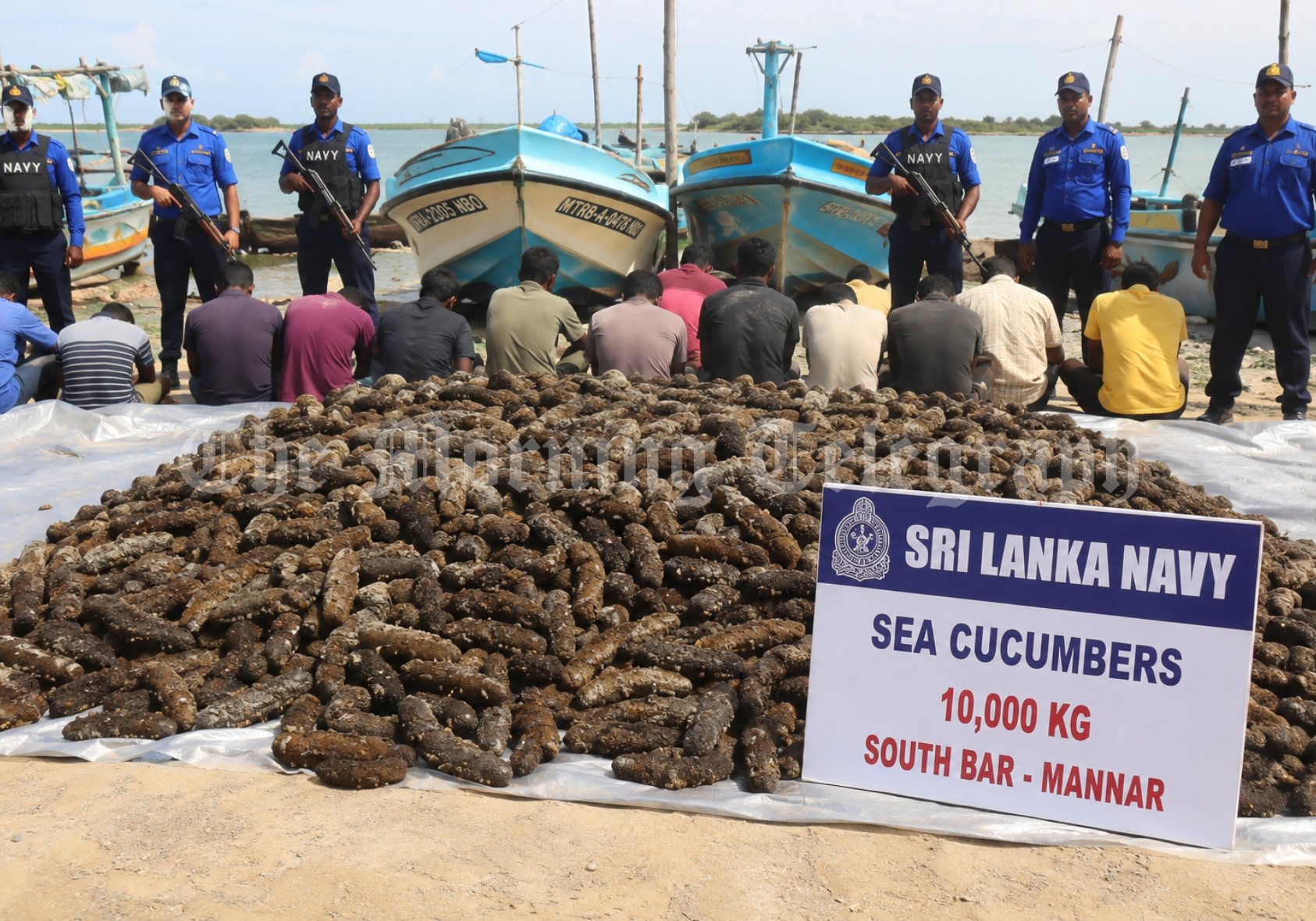 Sea cucumber smuggling operation uncovered by the Sri Lanka Navy in Mannar