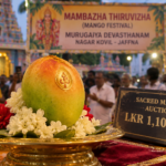Jaffna mango auction at Murugaiya Devasthanam during the traditional Mango Festival